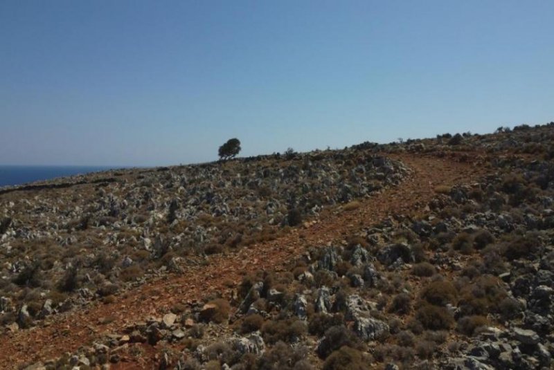 Kokkino Chorio Kreta, Kokkino Chorio: Grundstück in ruhige Lage mit majestätischer Aussicht zu verkaufen Grundstück kaufen
